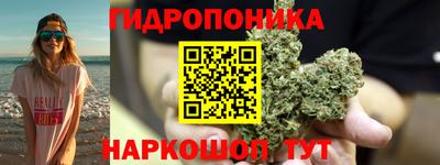 ПСИЛОЦИБИНОВЫЕ ГРИБЫ Лесосибирск