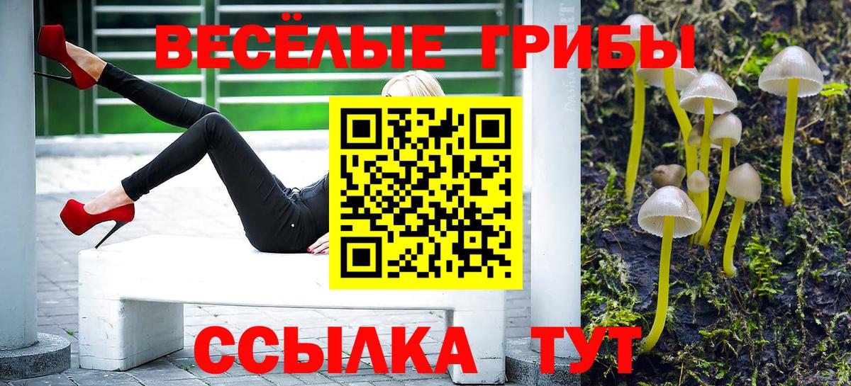 Псилоцибиновые грибы ЛСД  Галлюциногенные грибы Psilocybine cubensis  Дзержинск  Вход с VPN 